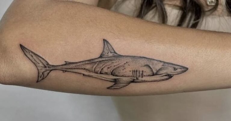shark tattoo