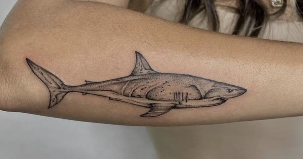 shark tattoo